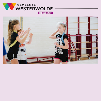Buitenschoolse activiteiten Wedde